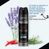 ABOVE Vulcan - 48 Hours Antiperspirant Deodorant - Dry Spray for Men - Notes of Sage